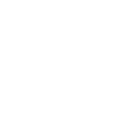 GoPro